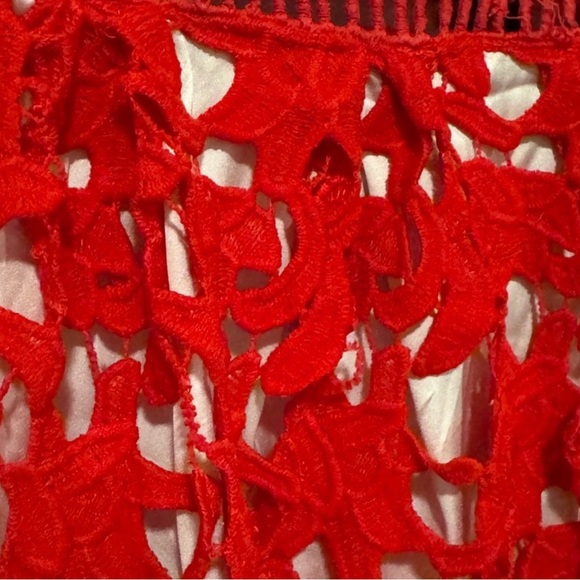 Red Lace Dress - Picture 3 of 3